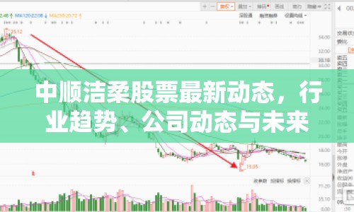 中順潔柔股票最新動態(tài)，行業(yè)趨勢、公司動態(tài)與未來展望