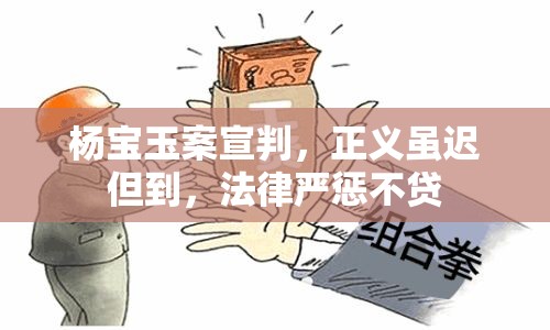 楊寶玉案宣判，正義雖遲但到，法律嚴(yán)懲不貸