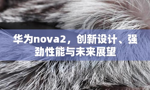 華為nova2，創(chuàng)新設(shè)計(jì)、強(qiáng)勁性能與未來展望