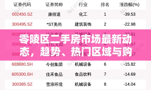 零陵區(qū)二手房市場(chǎng)最新動(dòng)態(tài)，趨勢(shì)、熱門區(qū)域與購房指南