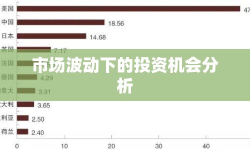 市場波動(dòng)下的投資機(jī)會(huì)分析