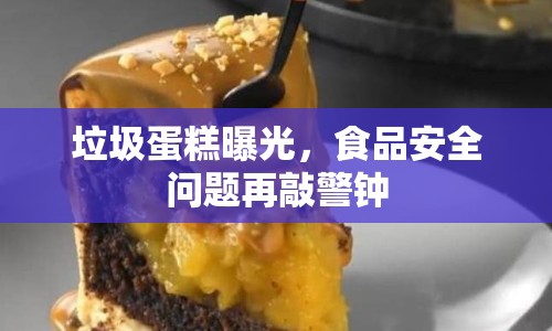 垃圾蛋糕曝光，食品安全問題再敲警鐘