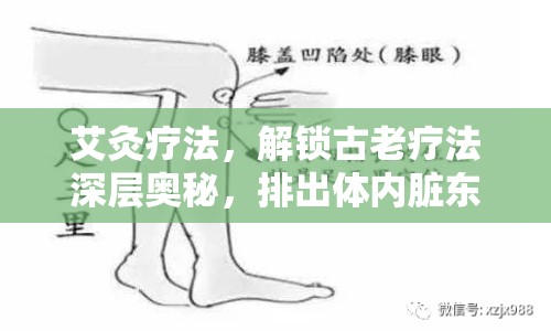 艾灸療法，解鎖古老療法深層奧秘，排出體內(nèi)臟東西