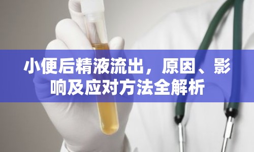 小便后精液流出，原因、影響及應(yīng)對方法全解析