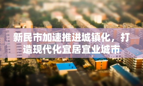 新民市加速推進(jìn)城鎮(zhèn)化，打造現(xiàn)代化宜居宜業(yè)城市