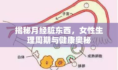 揭秘月經(jīng)臟東西，女性生理周期與健康奧秘