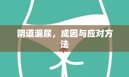 陰道漏尿，成因與應對方法