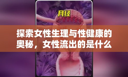 探索女性生理與性健康的奧秘，女性流出的是什么水？