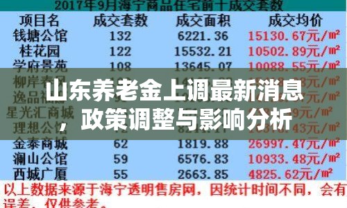 山東養(yǎng)老金上調(diào)最新消息，政策調(diào)整與影響分析