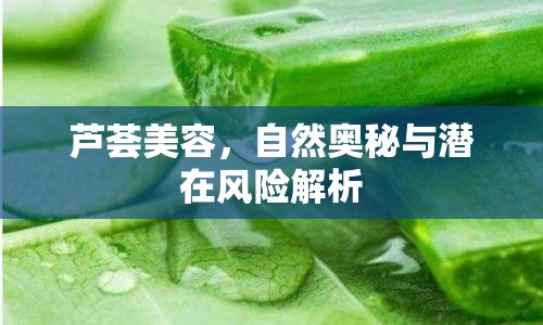 蘆薈美容，自然奧秘與潛在風(fēng)險(xiǎn)解析