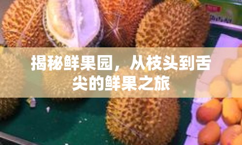 揭秘鮮果園，從枝頭到舌尖的鮮果之旅