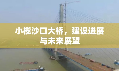 小欖沙口大橋，建設(shè)進展與未來展望