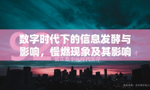 數(shù)字時(shí)代下的信息發(fā)酵與影響，慢燃現(xiàn)象及其影響