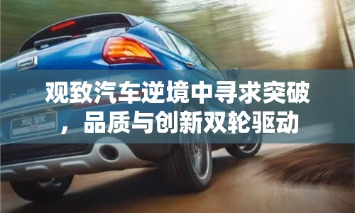 觀(guān)致汽車(chē)逆境中尋求突破，品質(zhì)與創(chuàng)新雙輪驅(qū)動(dòng)