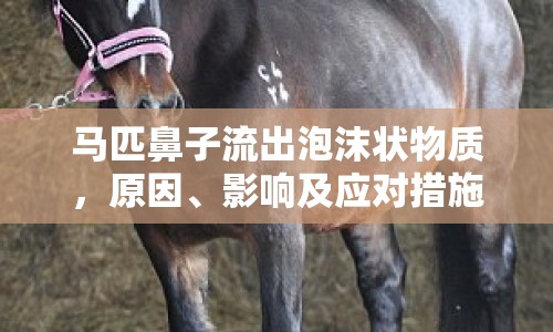 馬匹鼻子流出泡沫狀物質(zhì)，原因、影響及應(yīng)對措施