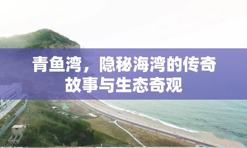 青魚灣，隱秘海灣的傳奇故事與生態(tài)奇觀