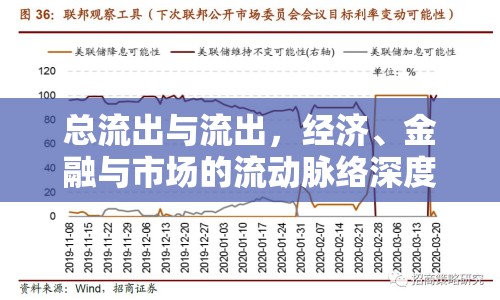 總流出與流出，經(jīng)濟、金融與市場的流動脈絡深度解析