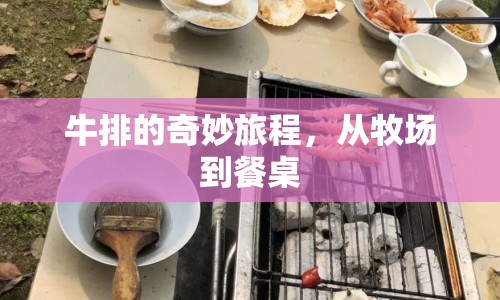 牛排的奇妙旅程，從牧場(chǎng)到餐桌