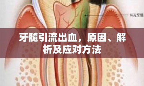 牙髓引流出血，原因、解析及應(yīng)對方法