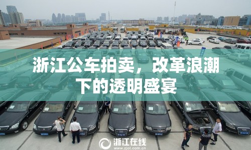 浙江公車拍賣，改革浪潮下的透明盛宴