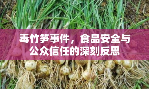 毒竹筍事件，食品安全與公眾信任的深刻反思