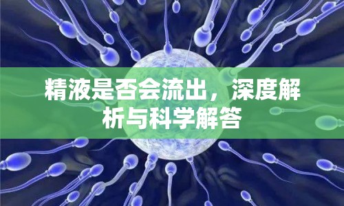 精液是否會流出，深度解析與科學(xué)解答