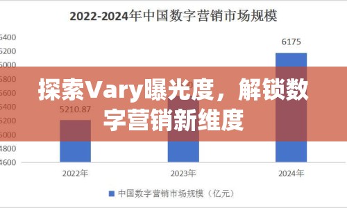 探索Vary曝光度，解鎖數(shù)字營銷新維度