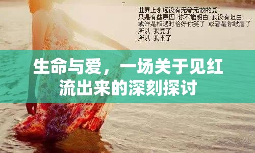 生命與愛，一場關于見紅流出來的深刻探討