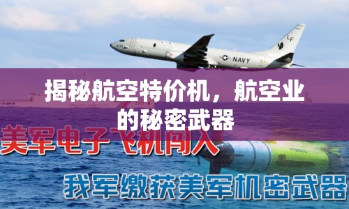 揭秘航空特價(jià)機(jī)，航空業(yè)的秘密武器