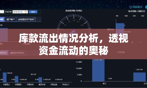 庫(kù)款流出情況分析，透視資金流動(dòng)的奧秘