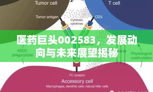 醫(yī)藥巨頭002583，發(fā)展動向與未來展望揭秘
