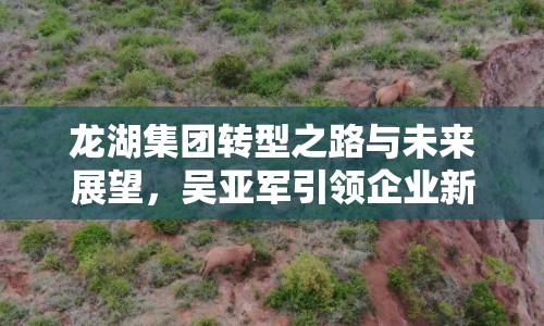 龍湖集團轉型之路與未來展望，吳亞軍引領企業(yè)新方向