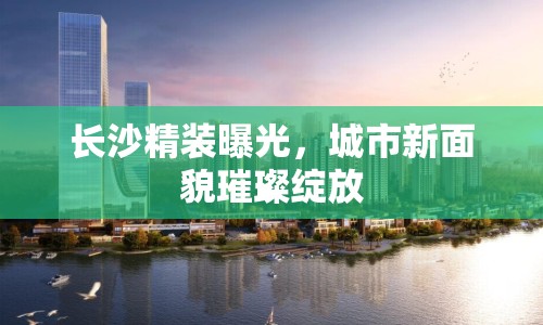 長(zhǎng)沙精裝曝光，城市新面貌璀璨綻放