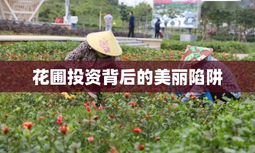 花圃投資背后的美麗陷阱