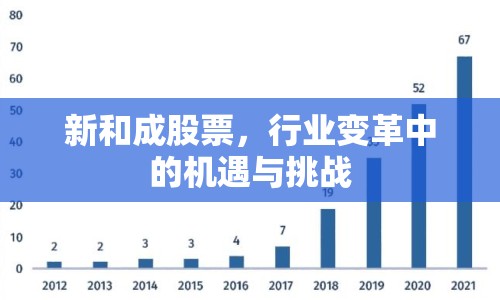 新和成股票，行業(yè)變革中的機遇與挑戰(zhàn)