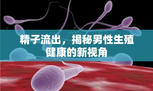 精子流出，揭秘男性生殖健康的新視角