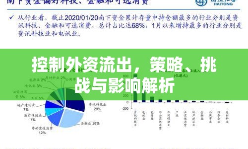 控制外資流出，策略、挑戰(zhàn)與影響解析