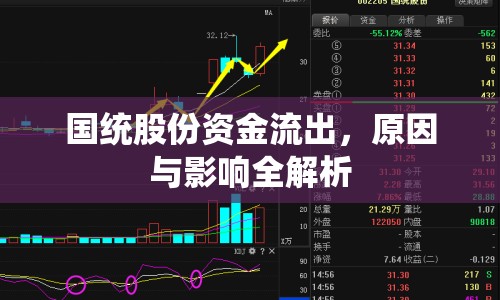 國(guó)統(tǒng)股份資金流出，原因與影響全解析