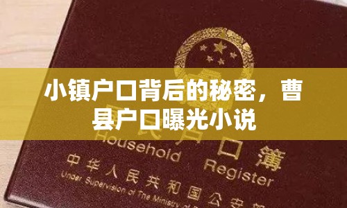 小鎮(zhèn)戶口背后的秘密，曹縣戶口曝光小說