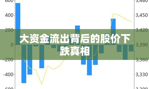 大資金流出背后的股價下跌真相