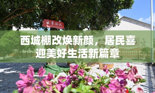 西城棚改煥新顏，居民喜迎美好生活新篇章