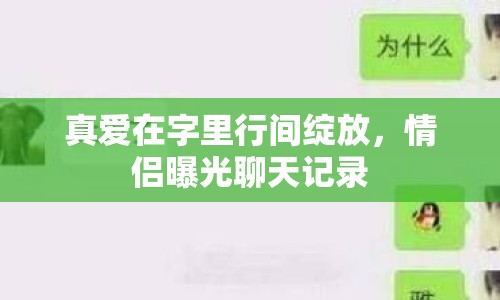 真愛在字里行間綻放，情侶曝光聊天記錄