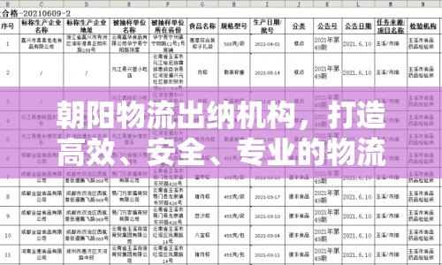 朝陽物流出納機構，打造高效、安全、專業(yè)的物流財務管理體系