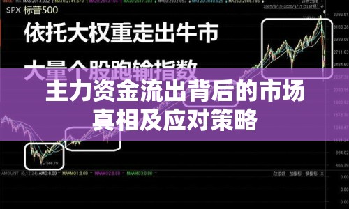 主力資金流出背后的市場真相及應對策略