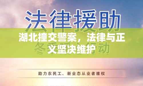 湖北撞交警案，法律與正義堅(jiān)決維護(hù)