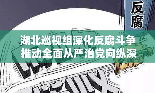 湖北巡視組深化反腐斗爭 推動全面從嚴(yán)治黨向縱深發(fā)展