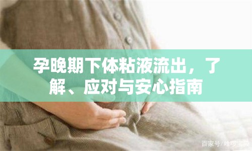 孕晚期下體粘液流出，了解、應(yīng)對與安心指南