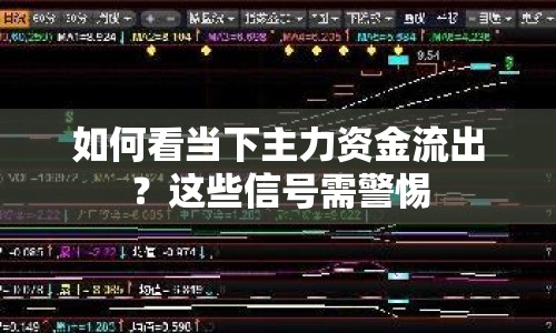 如何看當下主力資金流出？這些信號需警惕