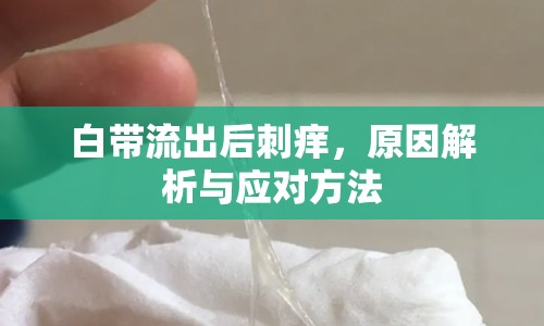 白帶流出后刺癢，原因解析與應(yīng)對方法