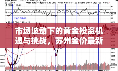 市場波動下的黃金投資機遇與挑戰(zhàn)，蘇州金價最新消息